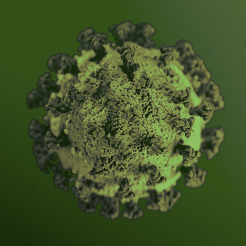 COVID 19 Virus (green)