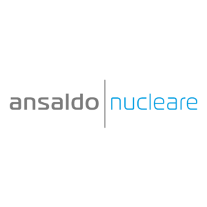 ansaldo nucleare